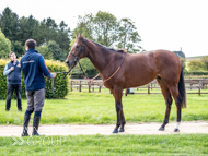 HC240925-58 - Rousham